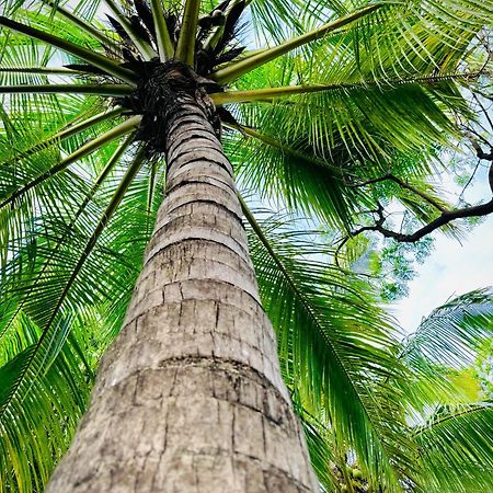 Richards Cabanas Tissamaharama Ngoại thất bức ảnh
